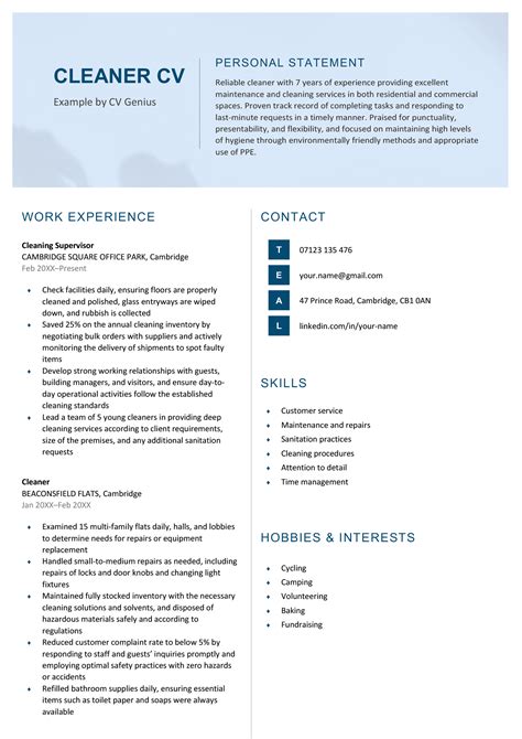 cleaner cv examples